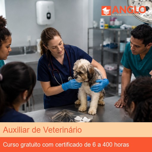 Auxiliar de Veterinário